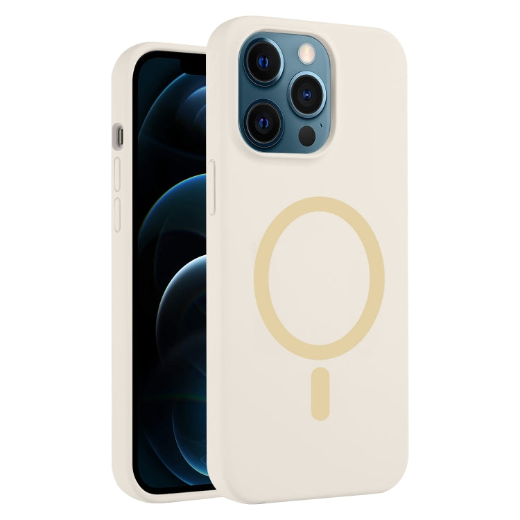 For iPhone 12 Pro Max Pure Color Liquid Silicone MagSafe Phone Case