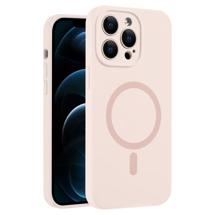 For iPhone 12 Pro Max Fine Hole Pure Color Liquid Silicone MagSafe Phone Case