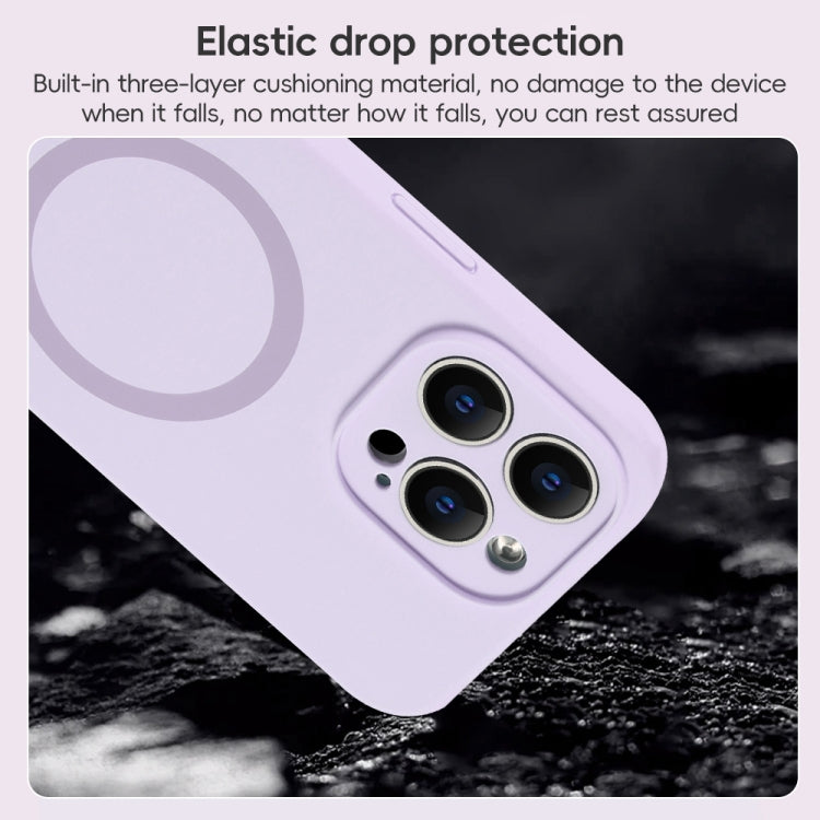 For iPhone 15 Pro Fine Hole Pure Color Liquid Silicone MagSafe Phone Case