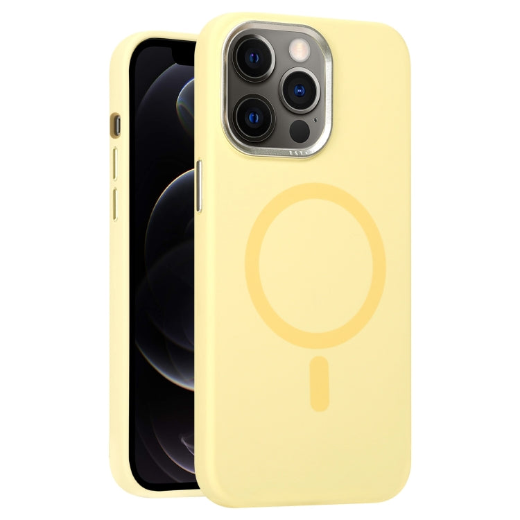 For iPhone 12 Pro Metal Lens Frame Liquid Silicone MagSafe Phone Case