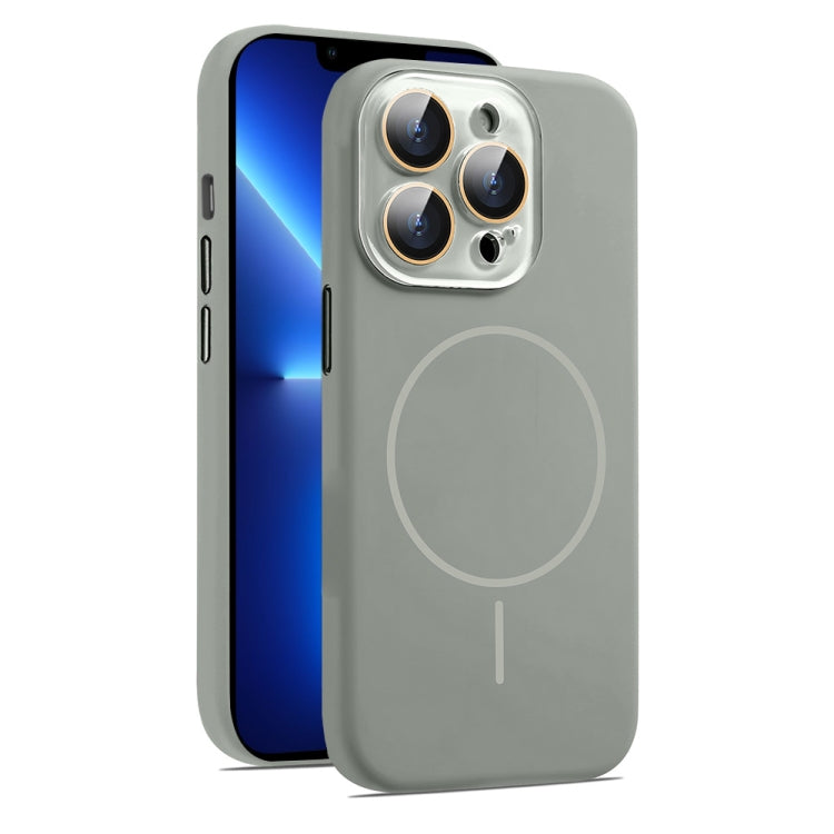 For iPhone 13 Pro Max AG Fine Hole Liquid Silicone MagSafe Magnetic Phone Case