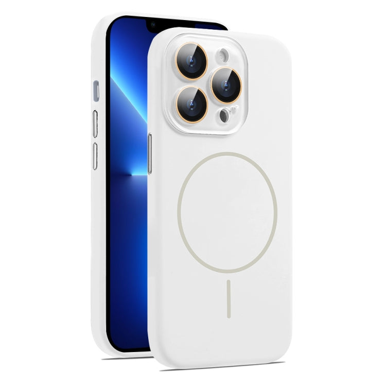 For iPhone 13 Pro Max AG Fine Hole Liquid Silicone MagSafe Magnetic Phone Case