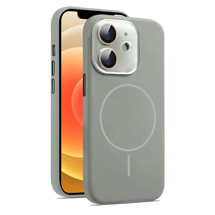 For iPhone 12 AG Fine Hole Liquid Silicone MagSafe Magnetic Phone Case