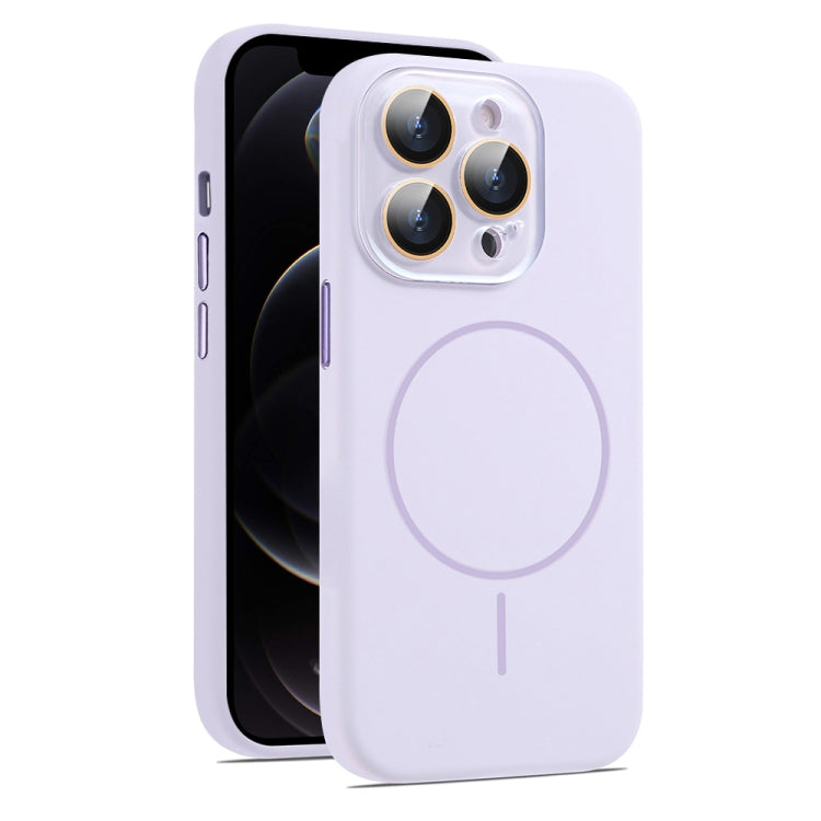 For iPhone 12 Pro Max AG Fine Hole Liquid Silicone MagSafe Magnetic Phone Case