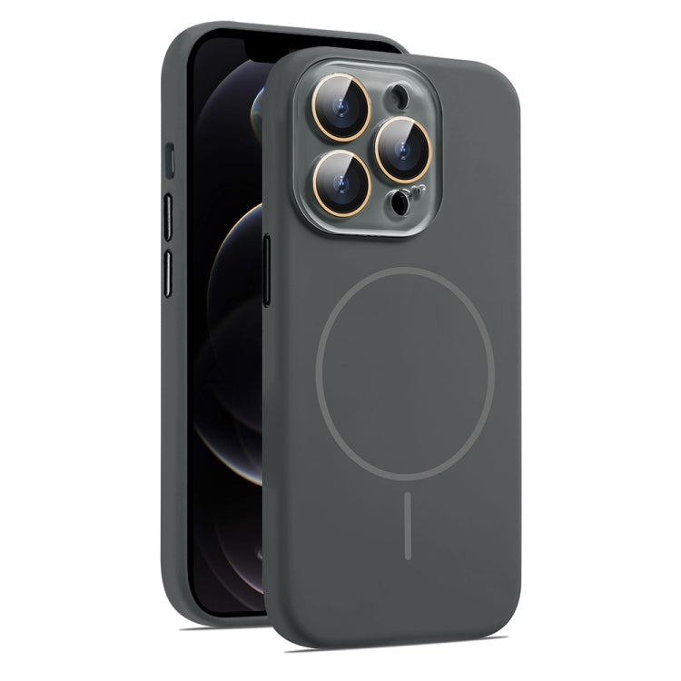 For iPhone 12 Pro Max AG Fine Hole Liquid Silicone MagSafe Magnetic Phone Case