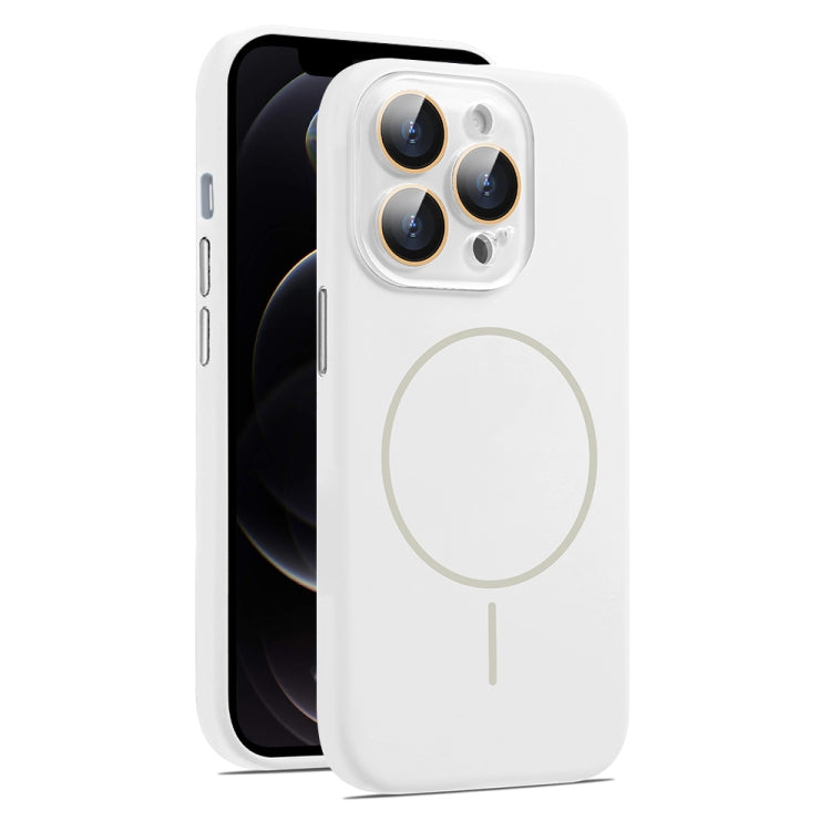 For iPhone 12 Pro Max AG Fine Hole Liquid Silicone MagSafe Magnetic Phone Case