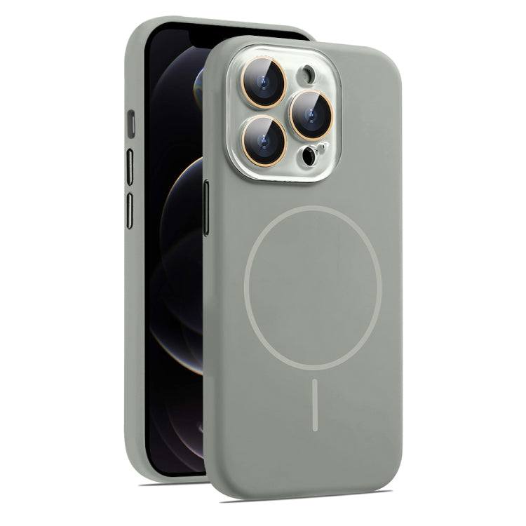 For iPhone 12 Pro AG Fine Hole Liquid Silicone MagSafe Magnetic Phone Case