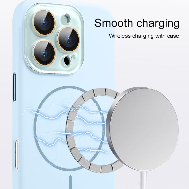 For iPhone 15 AG Fine Hole Liquid Silicone MagSafe Magnetic Phone Case