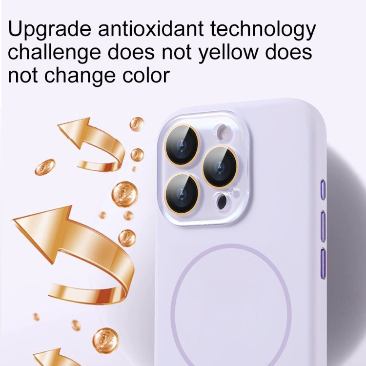 For iPhone 15 AG Fine Hole Liquid Silicone MagSafe Magnetic Phone Case