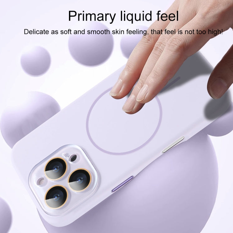 For iPhone 15 AG Fine Hole Liquid Silicone MagSafe Magnetic Phone Case