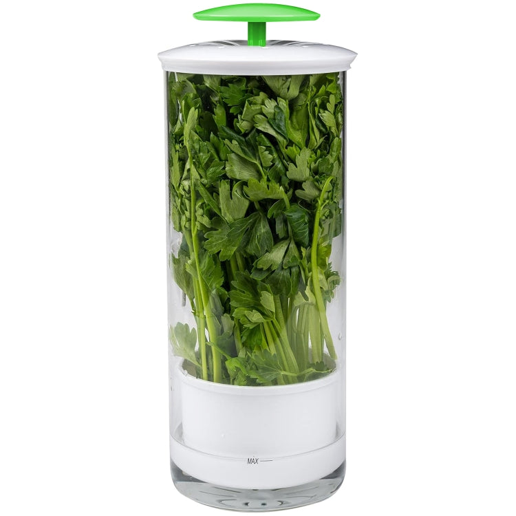 Herb Cilantro Preservation Storage Box Vegetable Keep Fresh Container, Size:31 x 12cm