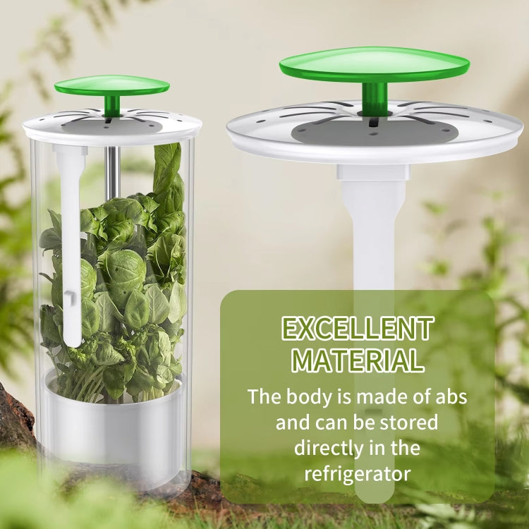Herb Cilantro Preservation Storage Box Vegetable Keep Fresh Container, Size:31 x 12cm
