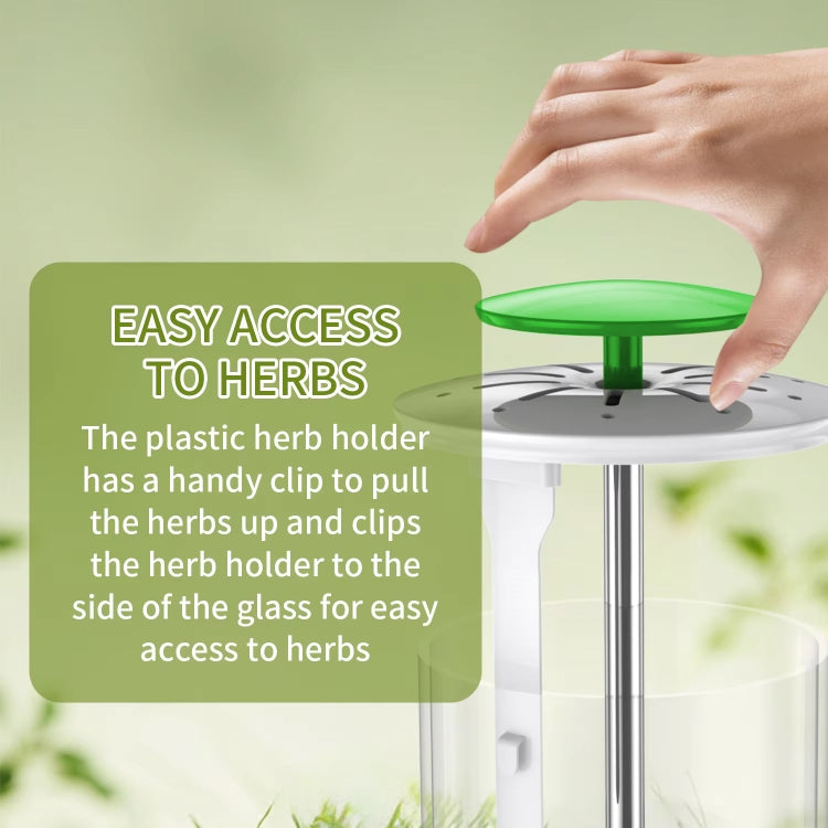 Herb Cilantro Preservation Storage Box Vegetable Keep Fresh Container, Size:31 x 12cm