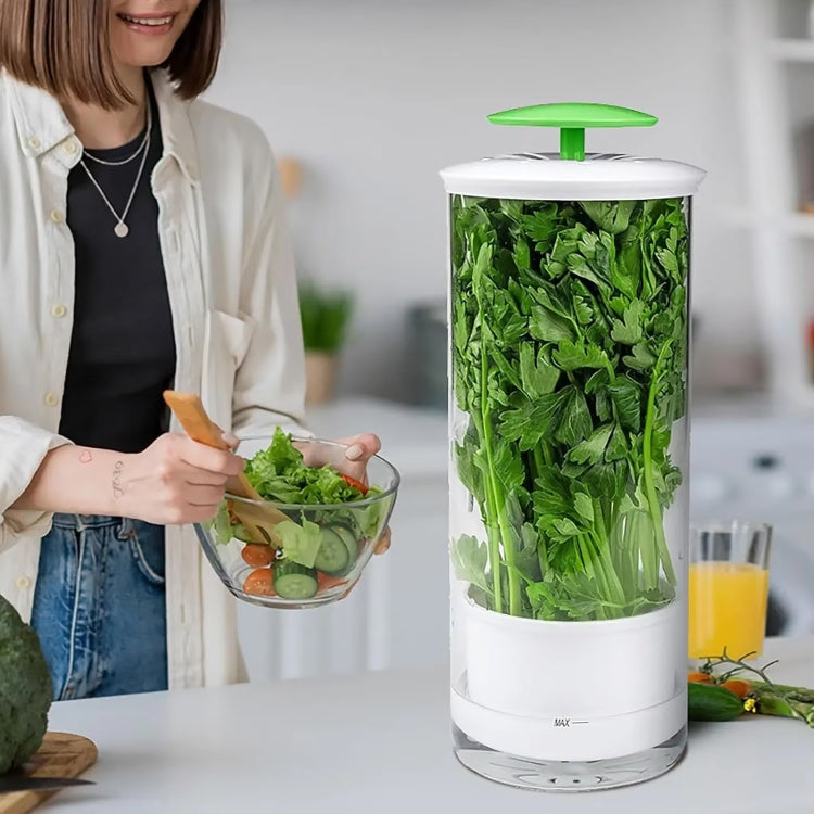 Herb Cilantro Preservation Storage Box Vegetable Keep Fresh Container, Size:31 x 12cm