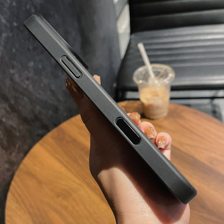 For iPhone 16 Pro Camera Control Button Frosted Phone Case - Transparent Black