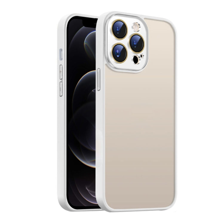 For iPhone 12 Pro Nano Semi-transparent Frosted Skin Feel Phone Case