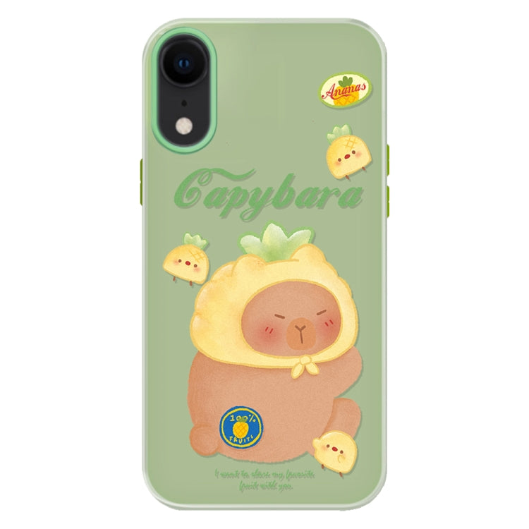 For iPhone XR Skin Feeling Jelly TPU Hybrid PC Phone Case
