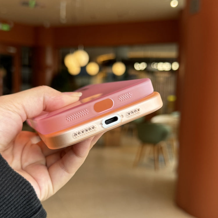 For iPhone 16 Pro Max Soft Sandy Skin Feel Translucent PC Phone Case