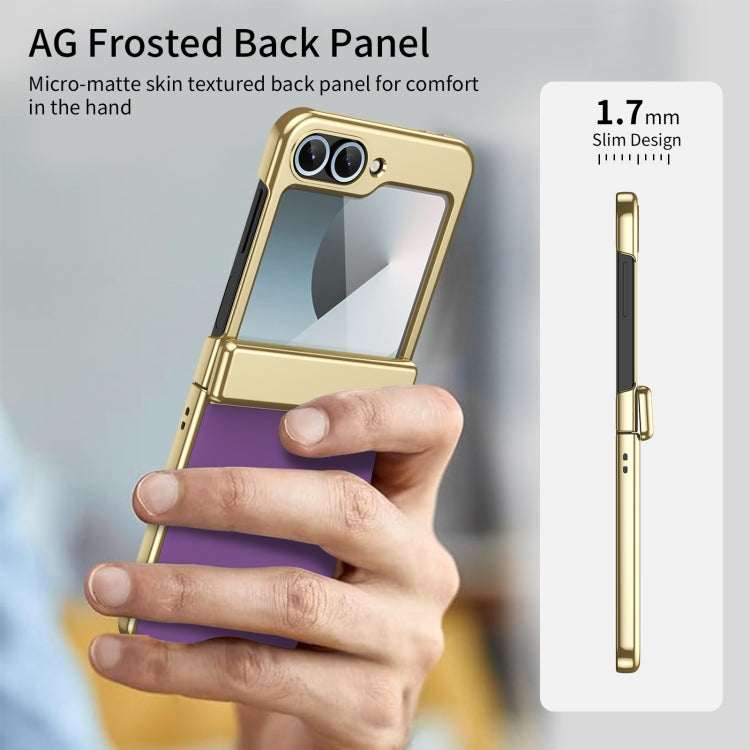 For Samsung Galaxy Z Flip5 Integrated AG Frosted Vacuum Plating Phone Case