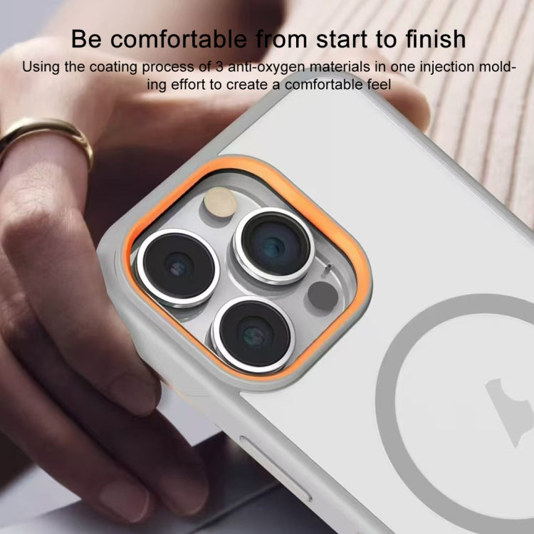 For iPhone 12 Pro Frosted Translucent Side Ice Fog Cooling MagSafe Phone Case