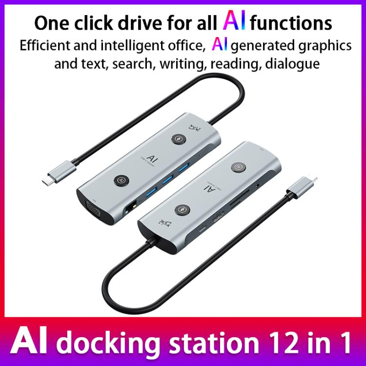 YCE V172 12 in 1 USB-C / Type-C HUB Adapter AI Docking Station