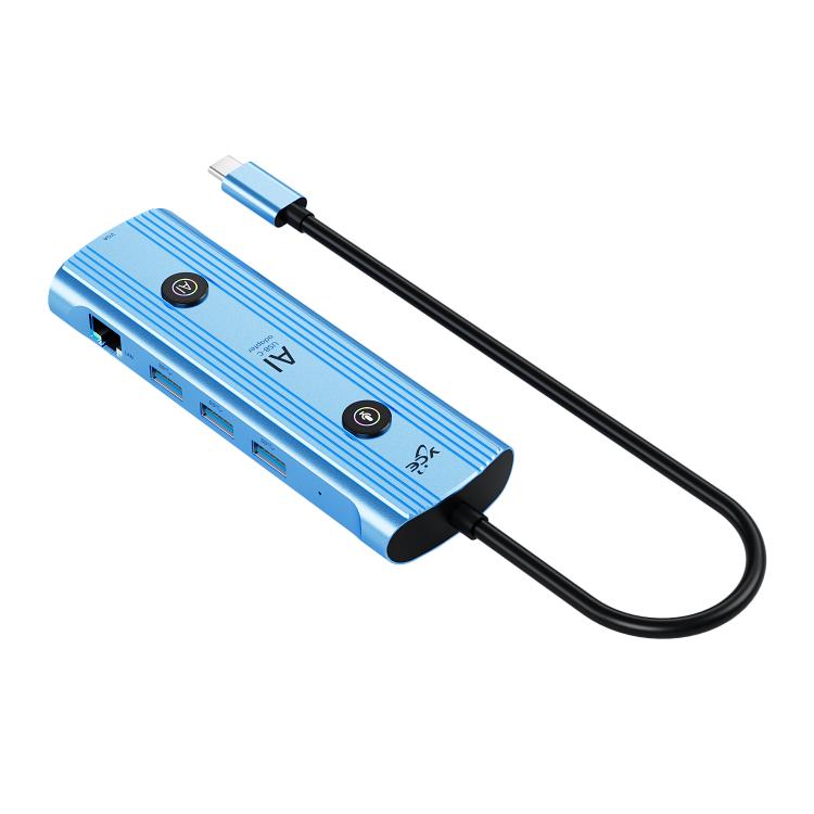 YCE V172 12 in 1 USB-C / Type-C HUB Adapter AI Docking Station