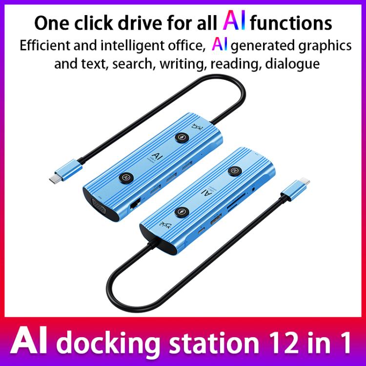 YCE V172 12 in 1 USB-C / Type-C HUB Adapter AI Docking Station