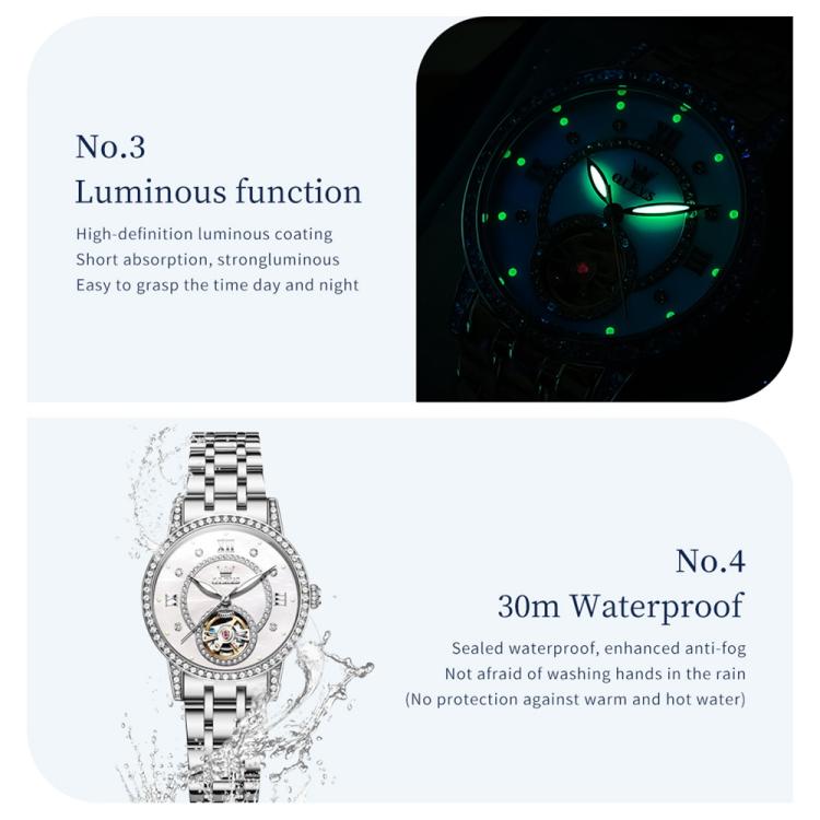 OLEVS 7036 Women Starry Sky Disk Luminous Skeleton Mechanical Watch