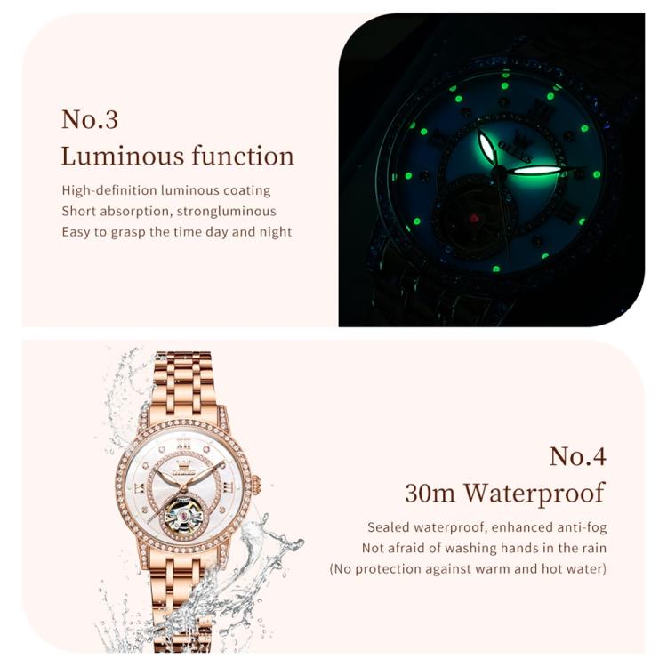 OLEVS 7036 Women Starry Sky Disk Luminous Skeleton Mechanical Watch