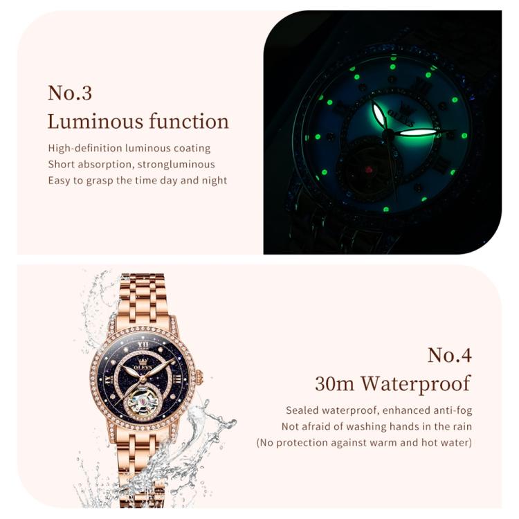 OLEVS 7036 Women Starry Sky Disk Luminous Skeleton Mechanical Watch