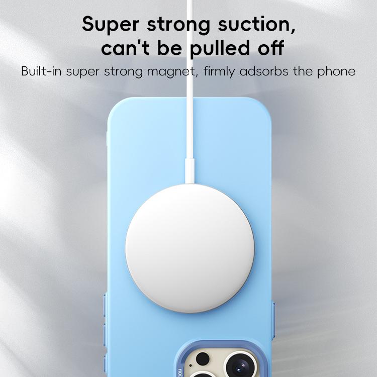 For iPhone 16 Pro PC Flocking MagSafe Magnetic Phone Case
