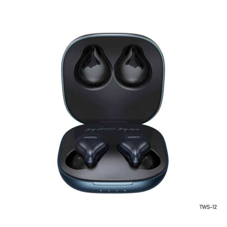 REMAX TWS-12 Bluetooth 5.0 Metal True Wireless Bluetooth Stereo Music Earphone with Charging Box