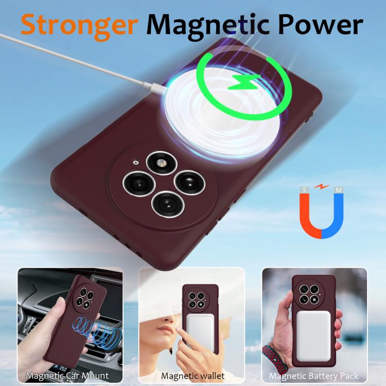 For OnePlus 13 Shockproof Silicone Magsafe Phone Case