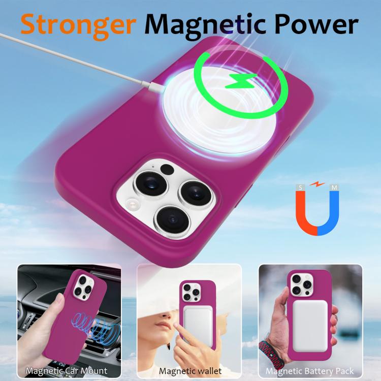 For iPhone 16 Pro Max Silicone Magsafe Phone Case with Camera Control Button