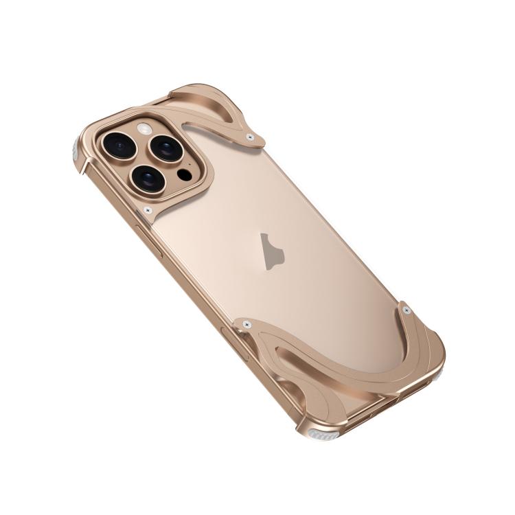 For iPhone 16 Pro Dolphin Metal Hybrid PC Transparent Back Panel Phone Case