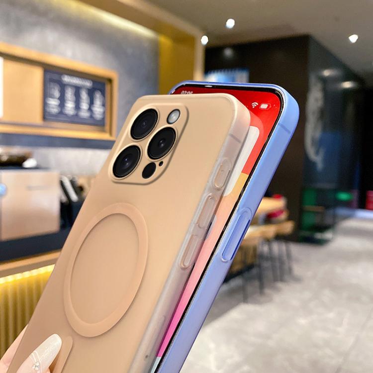 For iPhone 15 Pro Fine Hole Ice Fog MagSafe PC Phone Case