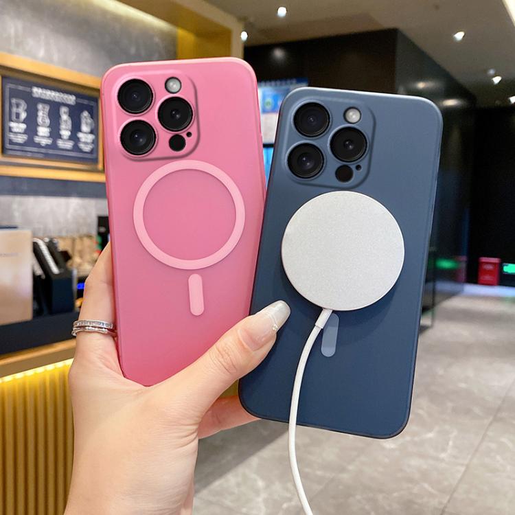 For iPhone 15 Pro Fine Hole Ice Fog MagSafe PC Phone Case
