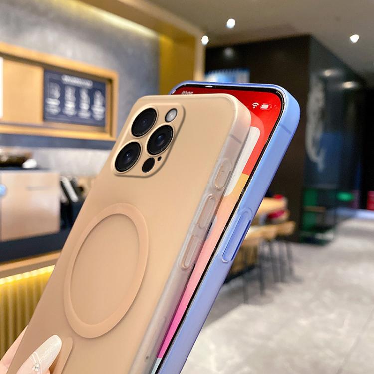 For iPhone 14 Pro Max Fine Hole Ice Fog MagSafe PC Phone Case