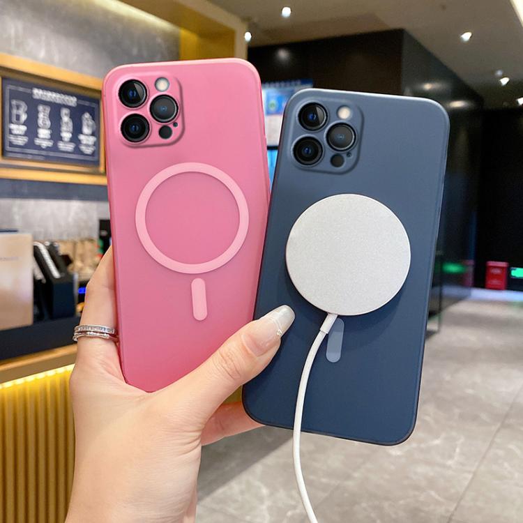 For iPhone 12 Pro Fine Hole Ice Fog MagSafe PC Phone Case