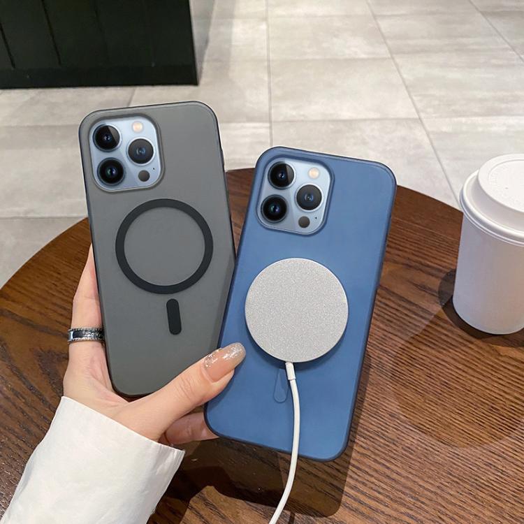 For iPhone 13 Pro Ice Fog MagSafe PC Phone Case