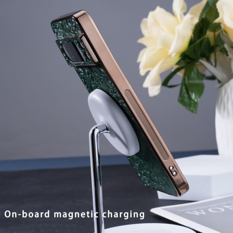 For Google Pixel 8 Pro Cloud Dragon Pattern MagSafe Phone Case