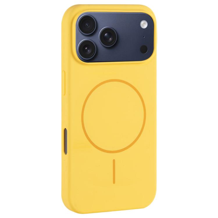For iPhone 17 Pro Large Hole Camera MagSafe Liquid Silicone Full Coverage Phone Case