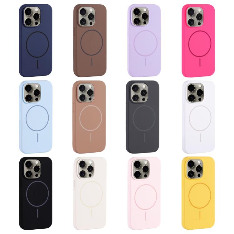 For iPhone 11 Pro Max Large Hole Camera MagSafe Liquid Silicone Full Coverage Phone Case
