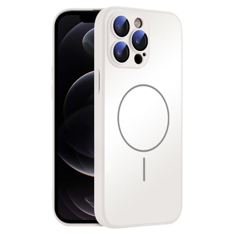 For iPhone 12 Pro Thin Circle MagSafe Skin-feel AG Glass Phone Case