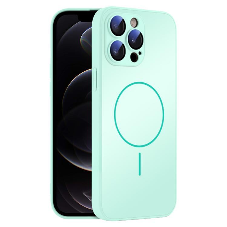 For iPhone 12 Pro Thin Circle MagSafe Skin-feel AG Glass Phone Case
