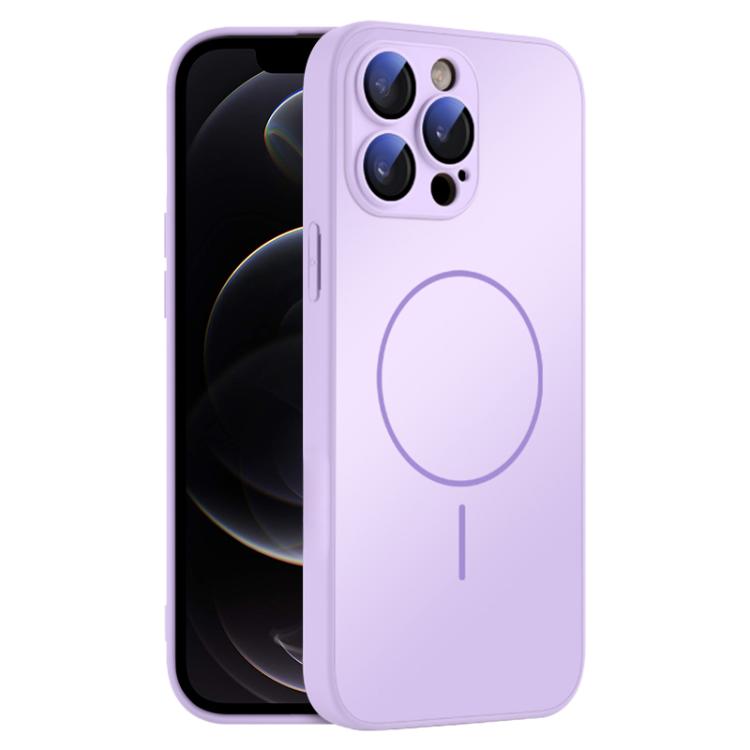 For iPhone 12 Pro Thin Circle MagSafe Skin-feel AG Glass Phone Case