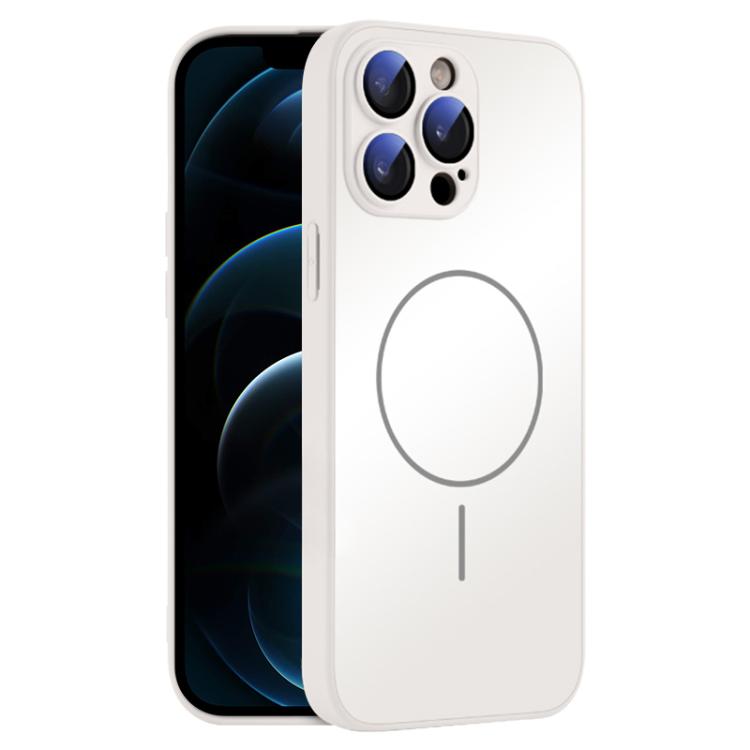 For iPhone 12 Pro Max Thin Circle MagSafe Skin-feel AG Glass Phone Case