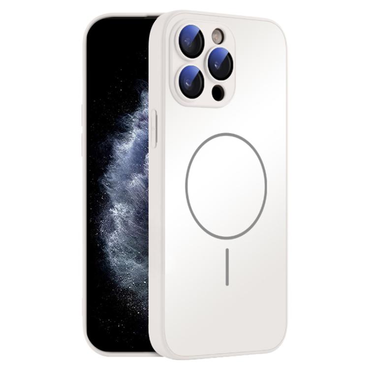 For iPhone 11 Pro Max Thin Circle MagSafe Skin-feel AG Glass Phone Case