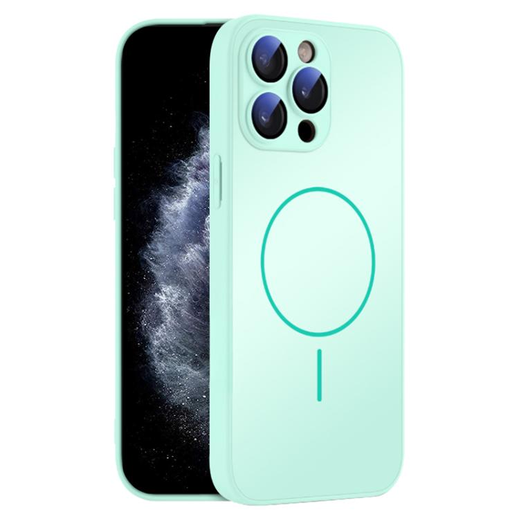For iPhone 11 Pro Max Thin Circle MagSafe Skin-feel AG Glass Phone Case