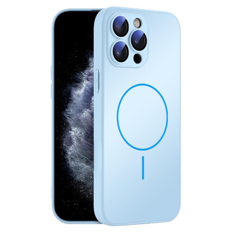 For iPhone 11 Pro Max Thin Circle MagSafe Skin-feel AG Glass Phone Case